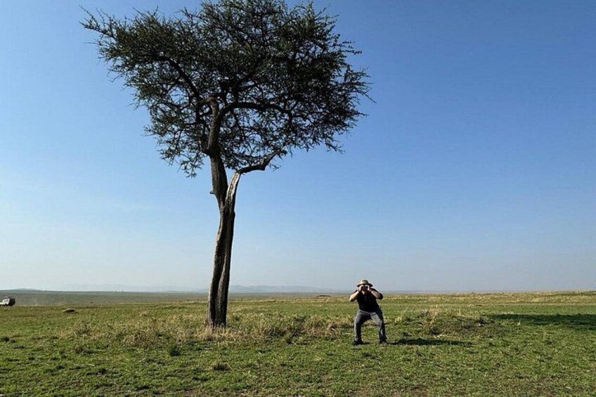 A person taking a photograph of a tree in a grassy field with a clear sky. 4
