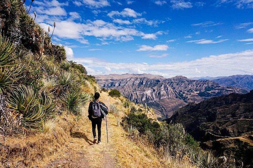 Un randonneur sur un sentier, portant un sac à dos, entouré d’herbes sèches et de plantes de yucca, avec un paysage montagneux en arrière-plan. 2