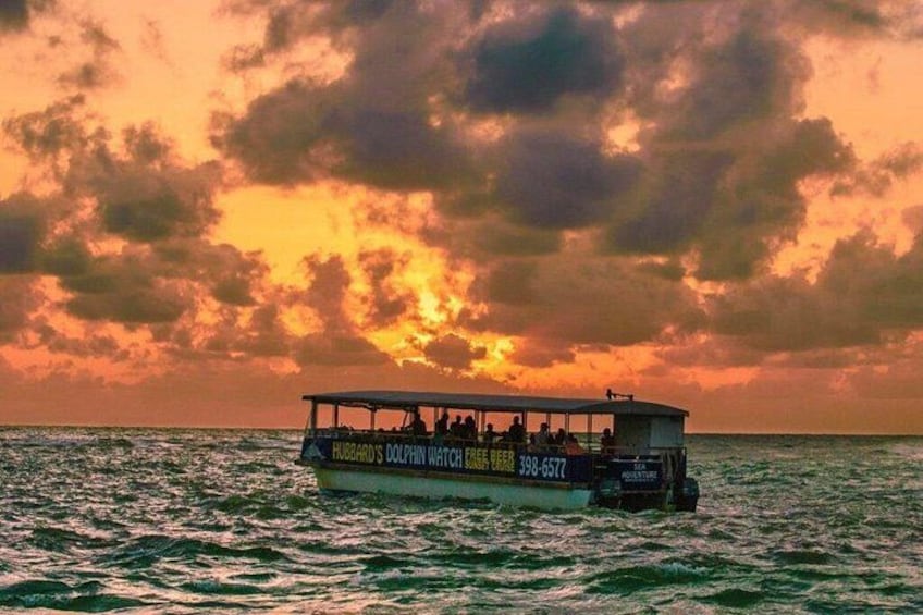 A boat with 'Hubbard's Dolphin Watch' written on it, sailing on the ocean during sunset. 2