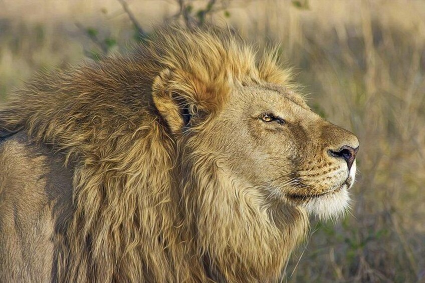 1 Day Group tour to Tsavo East National Park with Buffet Lunch 2