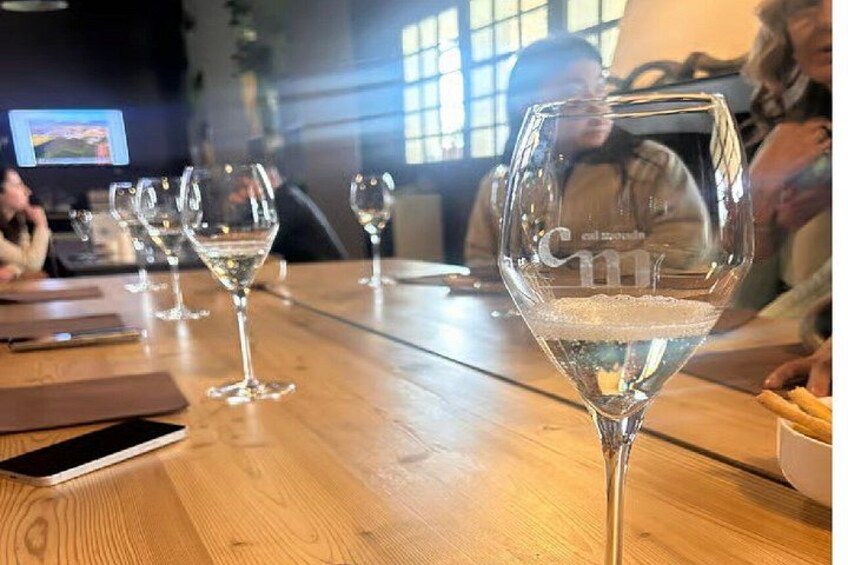 Experience Prosecco Hills with Wine and Food from Venice 2