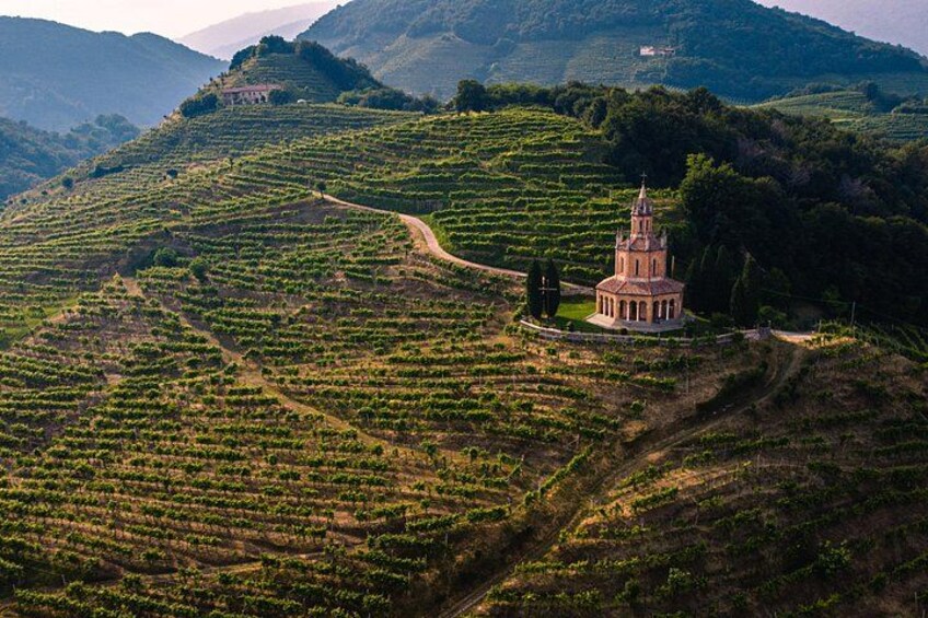 Un vignoble avec des terrasses et une petite église située sur une colline. 3