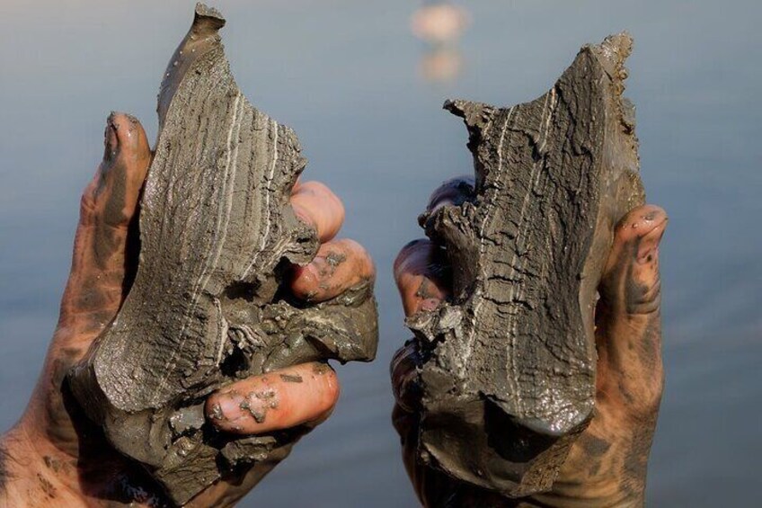 Two hands holding fossilized bones. 5