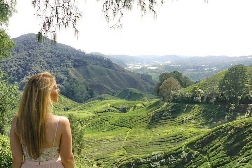 A woman standing on a hill overlooking terraced fields. 1
