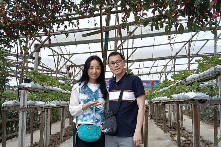 Two people standing in a greenhouse with rows of plants. 2