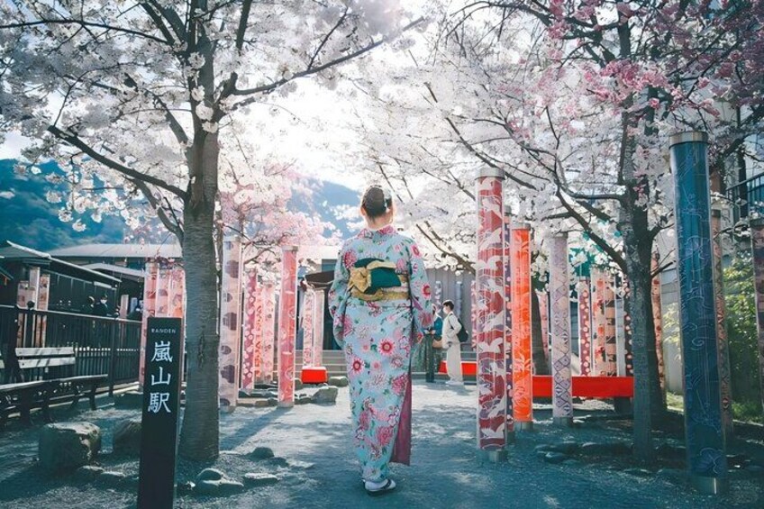 Osaka/Kyoto: Arashiyama, Fushimi Inari & Nara Park Day Trip 4
