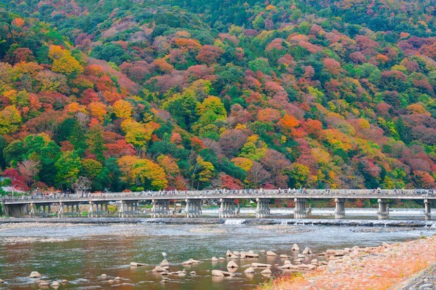 Osaka/Kyoto: Arashiyama, Fushimi Inari & Nara Park Day Trip 5