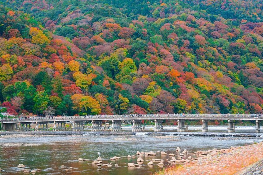 Osaka/Kyoto: Arashiyama, Fushimi Inari & Nara Park Day Trip 5