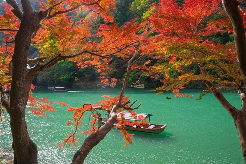 Osaka/Kyoto: Arashiyama, Fushimi Inari & Nara Park Day Trip 3