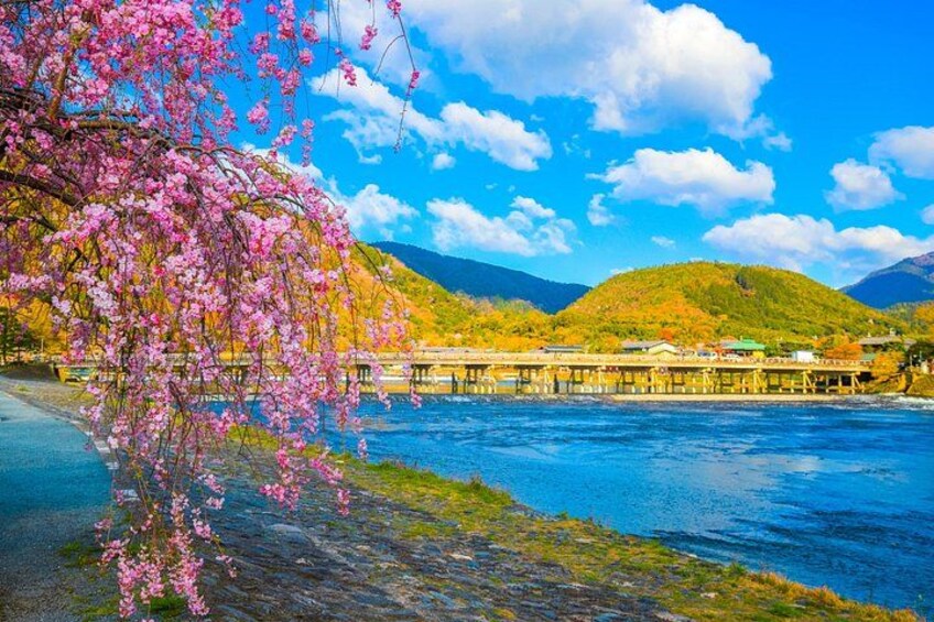 Osaka/Kyoto: Arashiyama, Fushimi Inari & Nara Park Day Trip 5