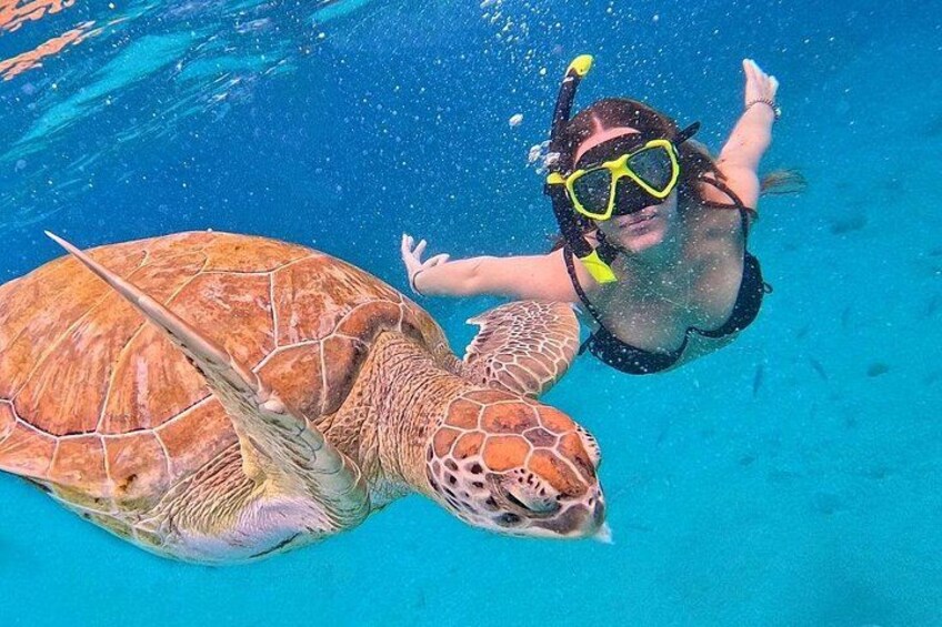 A person snorkeling with a sea turtle. 1