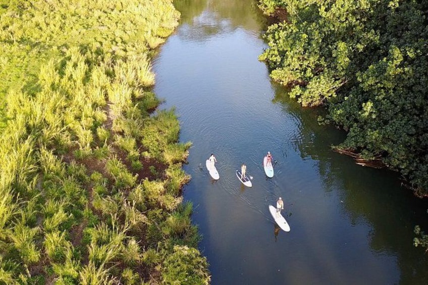 A river with people on paddleboards. 1
