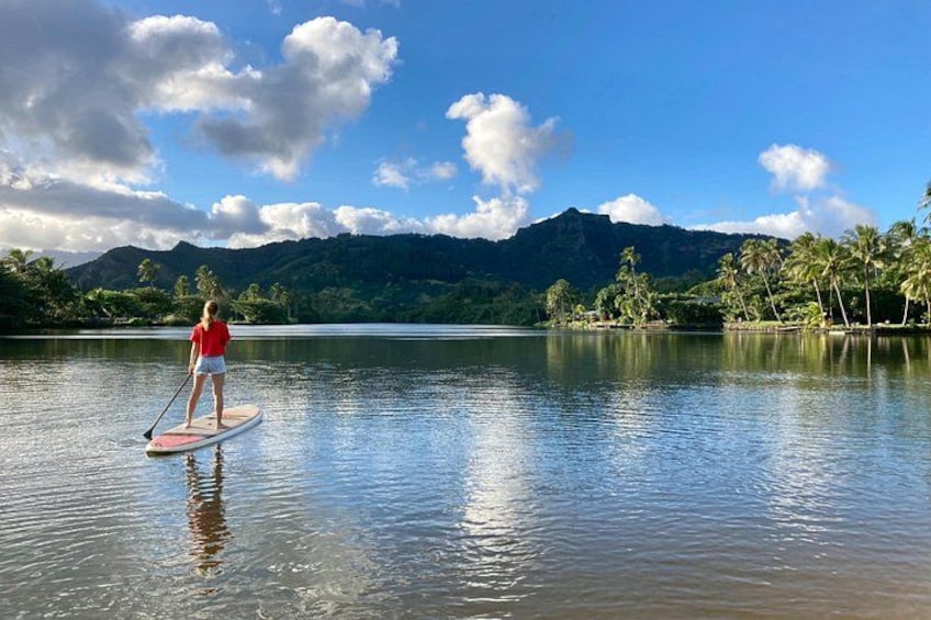 A person paddleboarding on calm water with mountains and palm trees in the background. 5