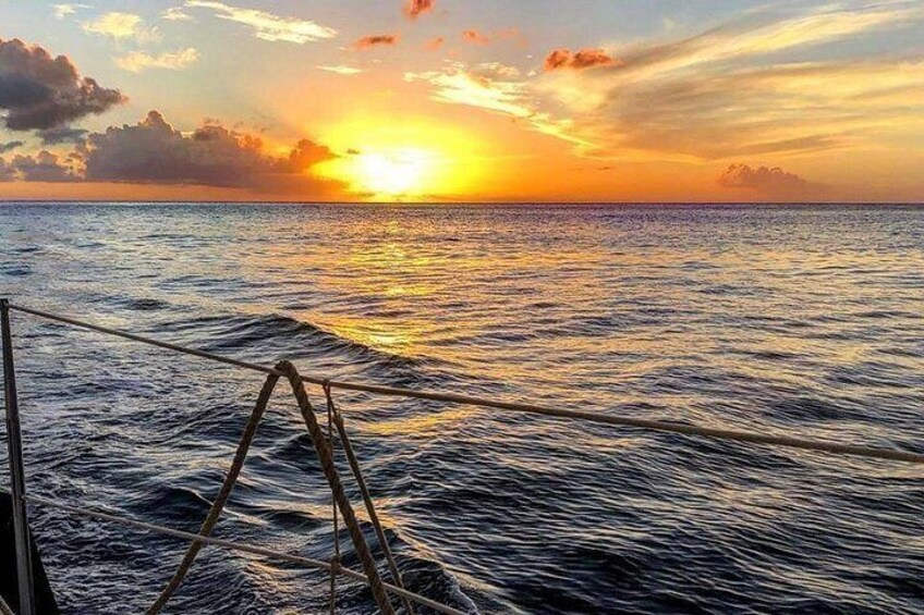 Sunset & Champagne Cruise on a Classic Schooner with boat dogs 2