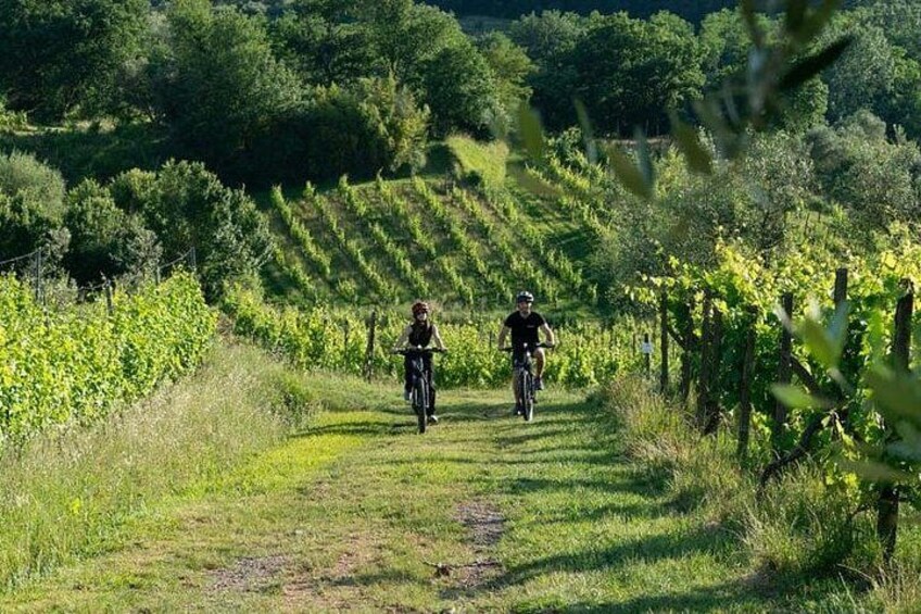 From Lucca Tour In E Bike And Wine Tasting In Chianti 1