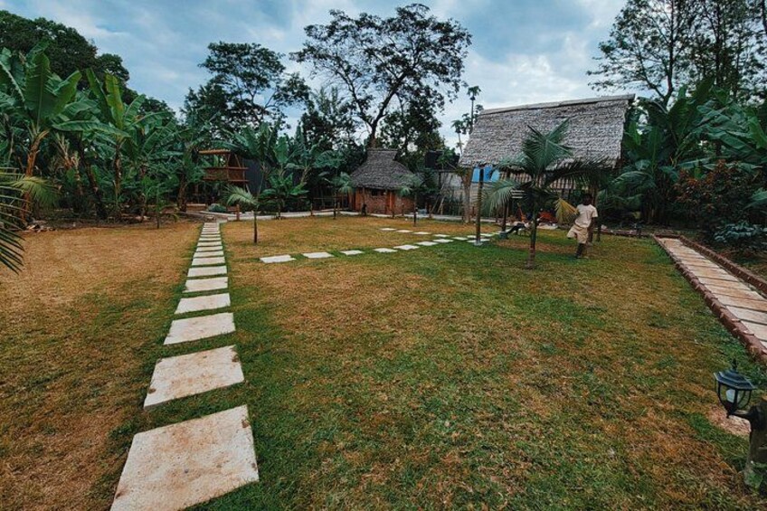 Arusha Waterfalls,Coffee farm Tour & Swing(all inclusive) 3