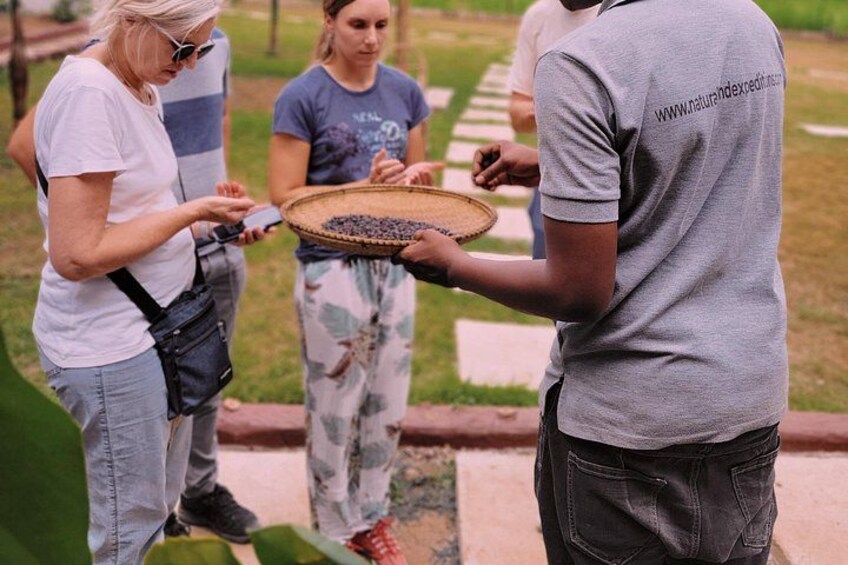 Arusha Waterfalls,Coffee farm Tour & Swing(all inclusive) 4