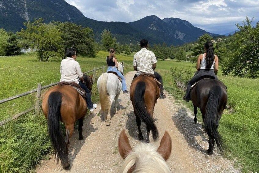 Lake Bled Scenic Horseback Ride in the Julian Alps 4
