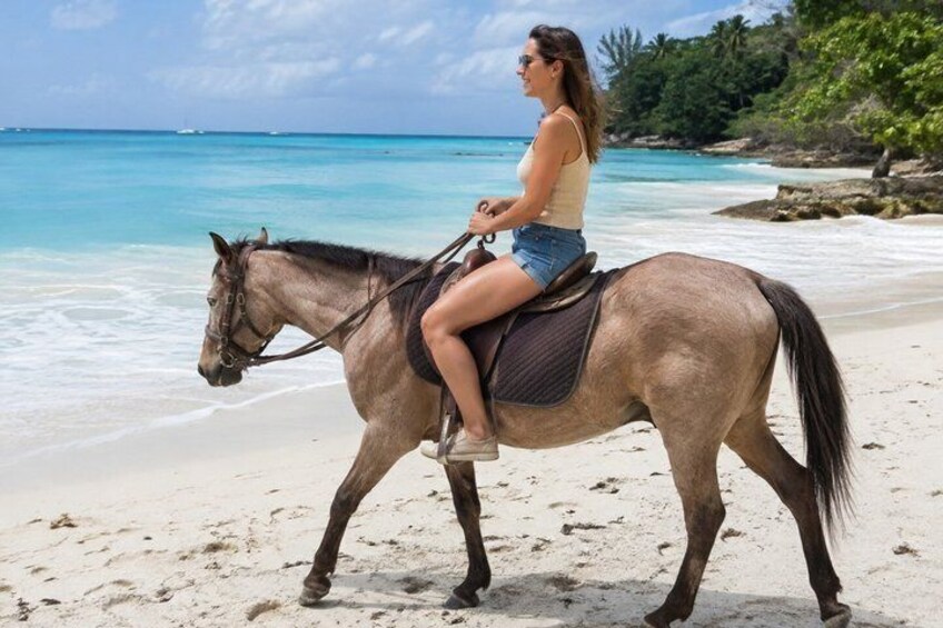 A person riding a horse on a sandy beach with clear blue water and greenery in the background. 2
