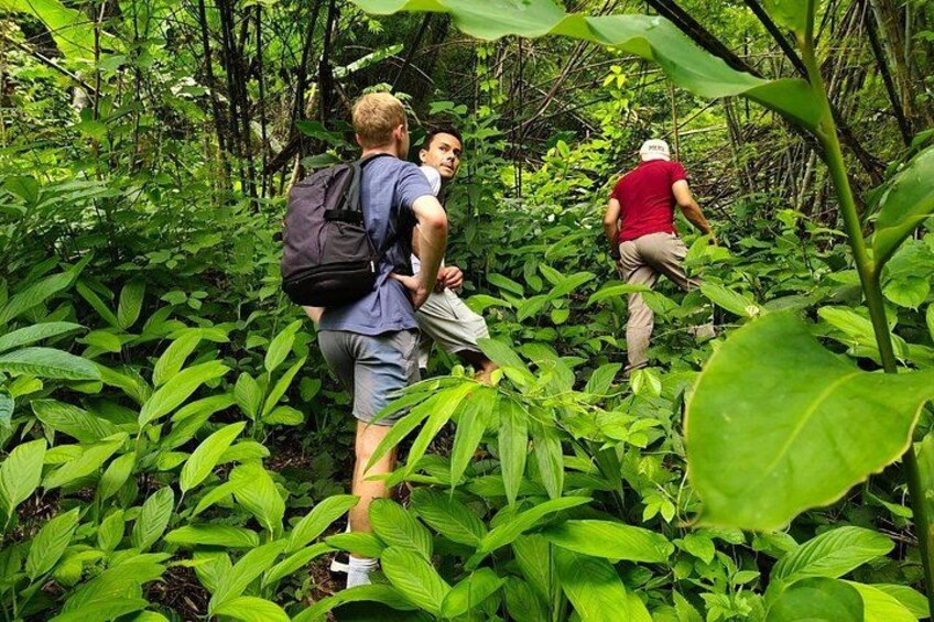 From Chiang Rai Jungle Adventure Group Trekking Bamboo Cooking 1