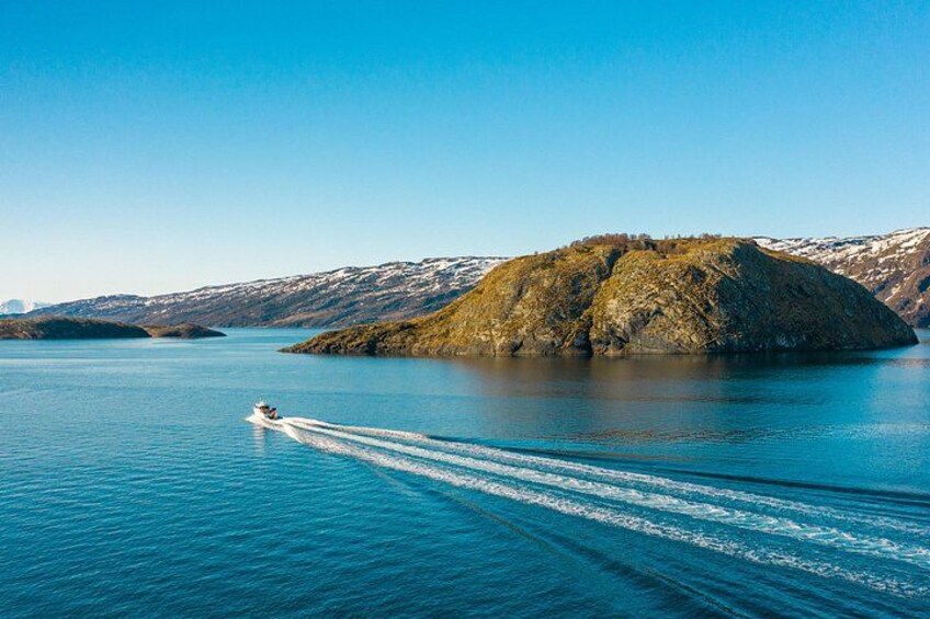 Alta: 3 Hours Guided Adventure Cruise in Alta Fjord 2