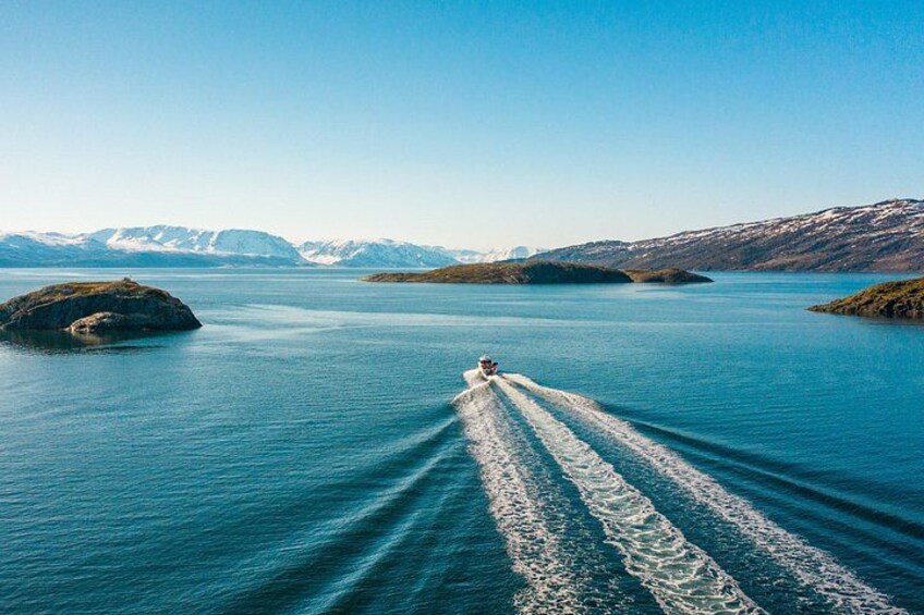 Alta: 3 Hours Guided Adventure Cruise in Alta Fjord 3