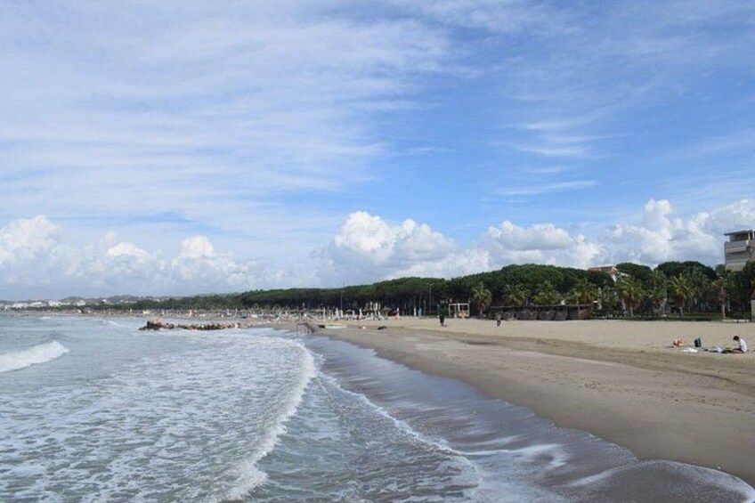 A beach with waves, a clear sky, and a distant shoreline with buildings and trees. 2