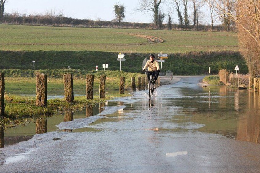 D-Day Private Full-Day E-Bike Tour: Omaha Beach & Pointe du Hoc 4