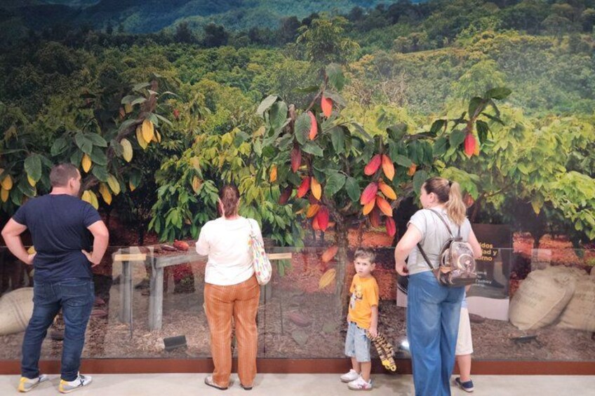Alicante & Benidorm: Guadalest Castle and Chocolate museum 2