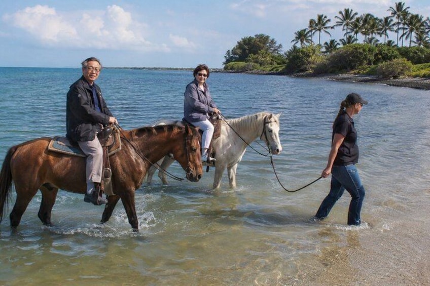 Två hästar och en person går genom grunt vatten nära en strand, med palmer i bakgrunden. 4