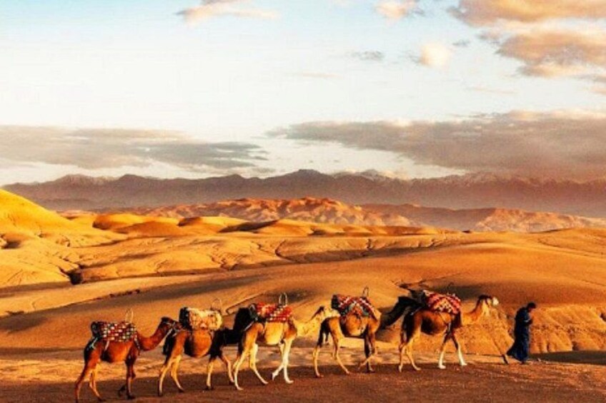 Marrakech Desert Excursion with Quad and Camel Rides and Dinner 2