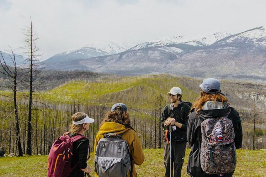 4 KM Wildfire Hike with Lunch in Jasper National Park 2