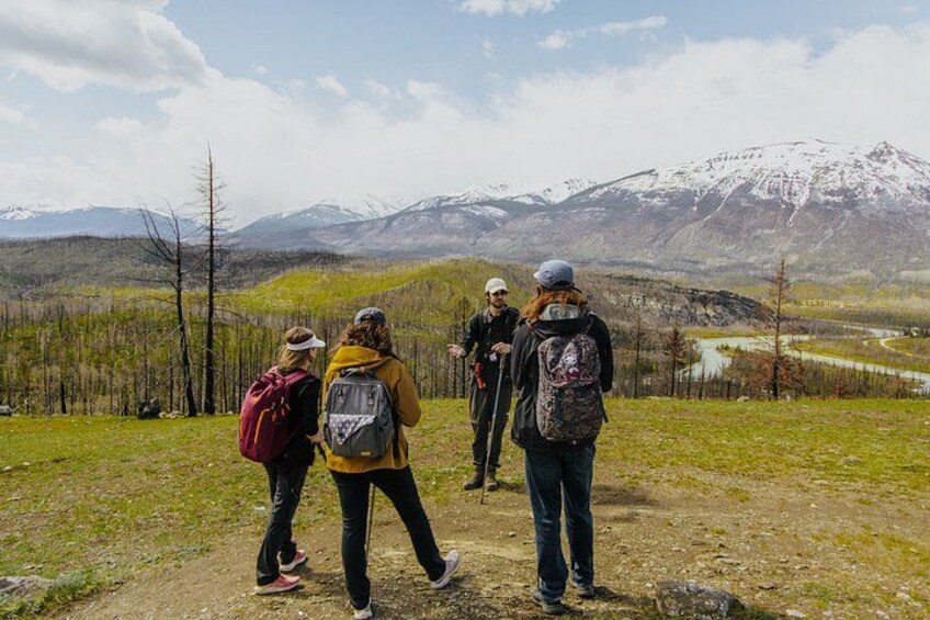 4 KM Wildfire Hike with Lunch in Jasper National Park 3