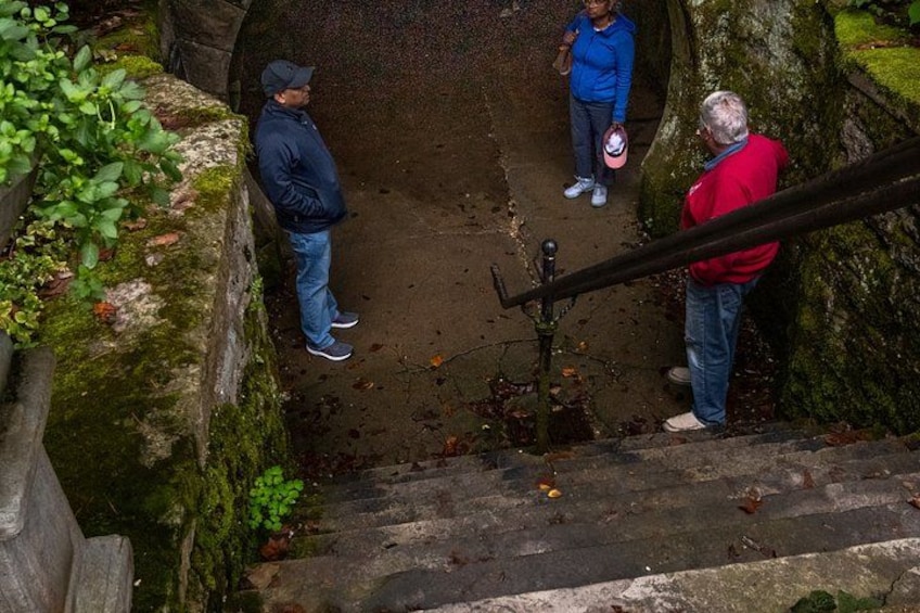 Eine steinerne Treppe führt hinab zu einem Tunnel, umgeben von moosbewachsenen Steinen und Grünpflanzen. 1