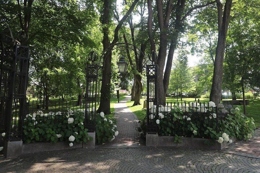 Loyalist Cemetery 5