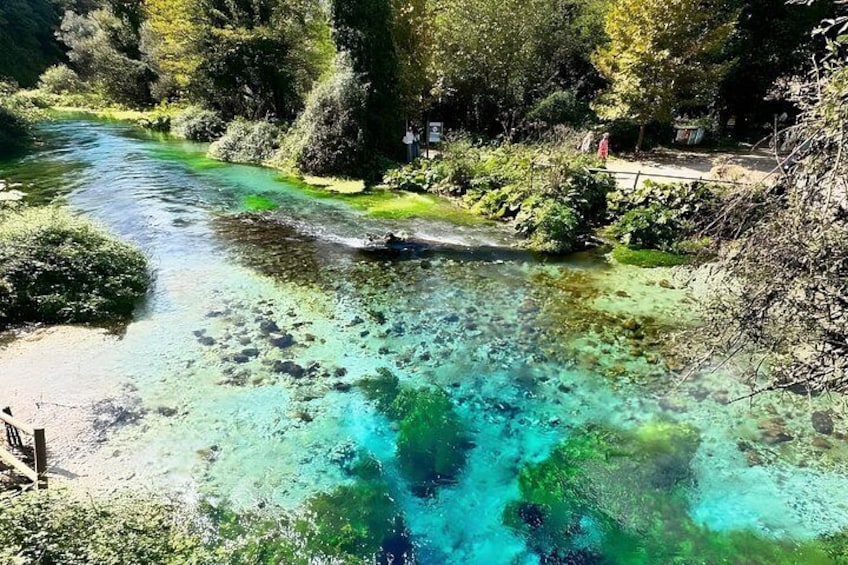 Ein klarer Fluss mit sichtbaren Felsen und grüner Vegetation am Ufer. 2