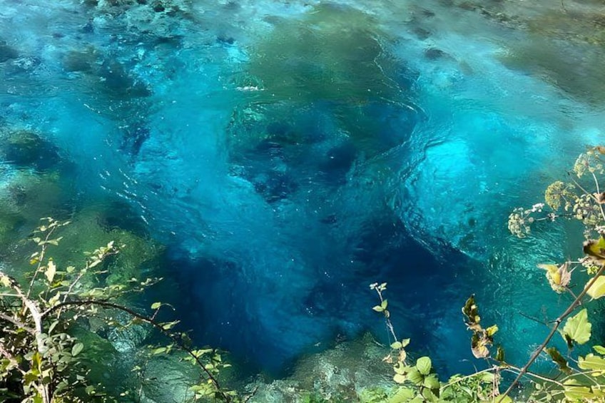 Acqua cristallina con piante acquatiche e rocce visibili. 2