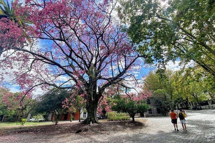 Colonia del Sacramento 3