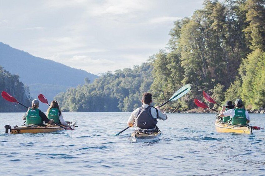 Guided Half Day Kayak Tour with Picnic in Villa la Angostura 5