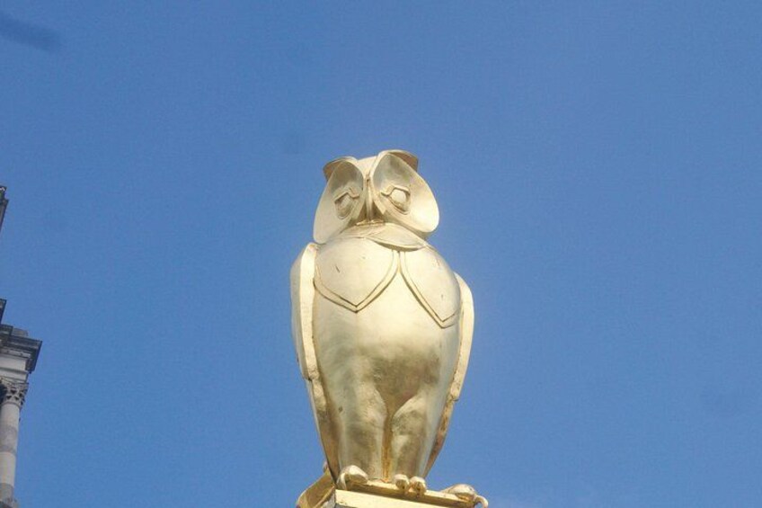 A Self-Guided Audio Tour of Leeds: Royals, Lions, and Golden Owls 5