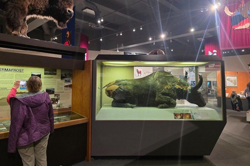 Una exhibición de museo con un esqueleto de dinosaurio de gran tamaño y paneles informativos. 3