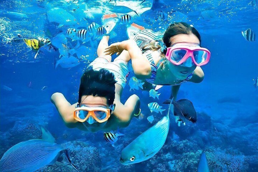 Trincomalee: Whales Watching and Navy Island Snorkeling Tour 2