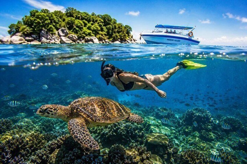 Trincomalee: Whales Watching and Navy Island Snorkeling Tour 2