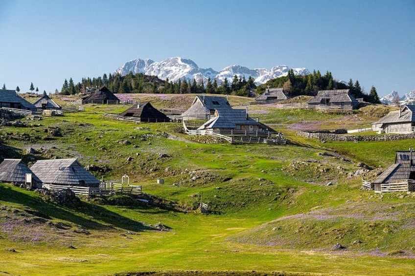 A village with traditional houses, a green landscape, and snow-capped mountains in the background. 1