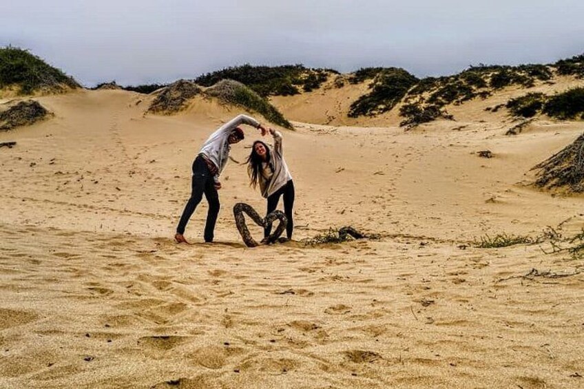 Two people on a sandy beach with dunes in the background. 3
