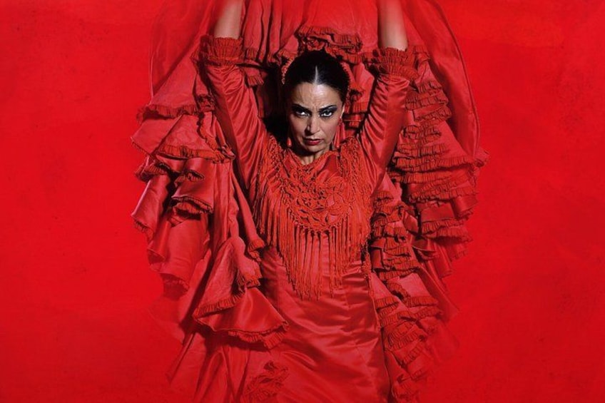 Teatro Flamenco Barcelona: Live the Flamenco Experience 1