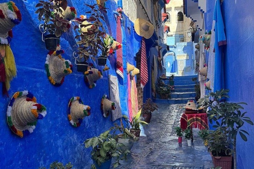 Un estrecho callejón con paredes azules, cestas colgantes y plantas en macetas. 2
