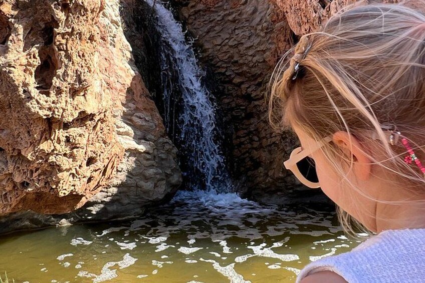 Essaouira Off-Beaten-Path: Full-Day Local Life &Nature Experience 4