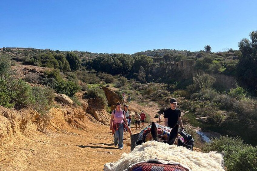 Essaouira Off-Beaten-Path: Full-Day Local Life &Nature Experience 3