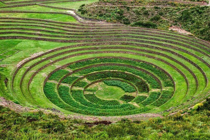 Excursion to Sacred Valley & salt mines - Moray with lunch buffet 5